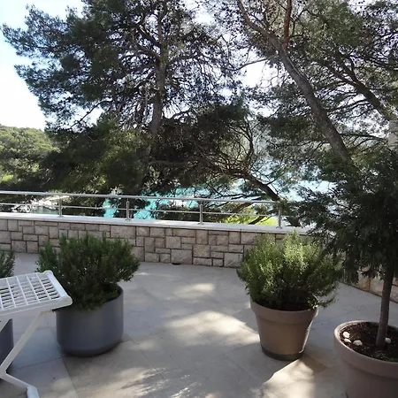 بيت ضيافة Port Special