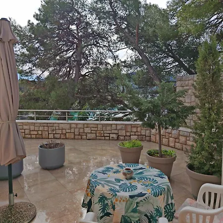 Guest house Port Special