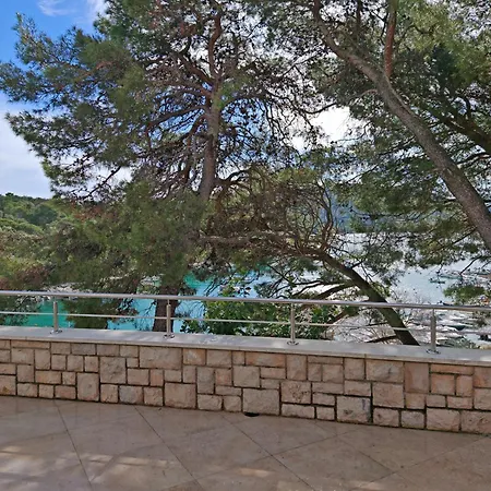 Guest house Port Special 3*