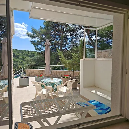 Guest house Port Special 4*